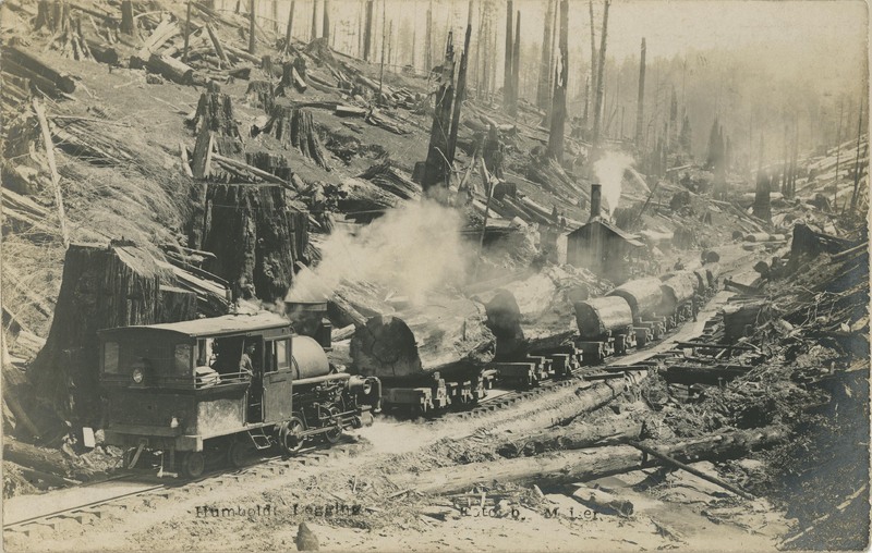 Humboldt Logging - Foto by Meiser