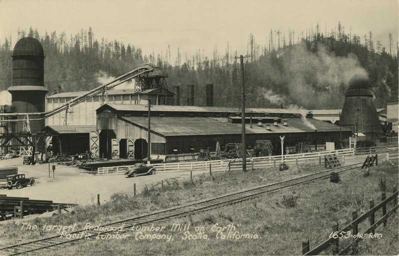 The largest Redwood Lumber Mill on Earth' Pacific Lumber Company, Scotia - Art-Ray