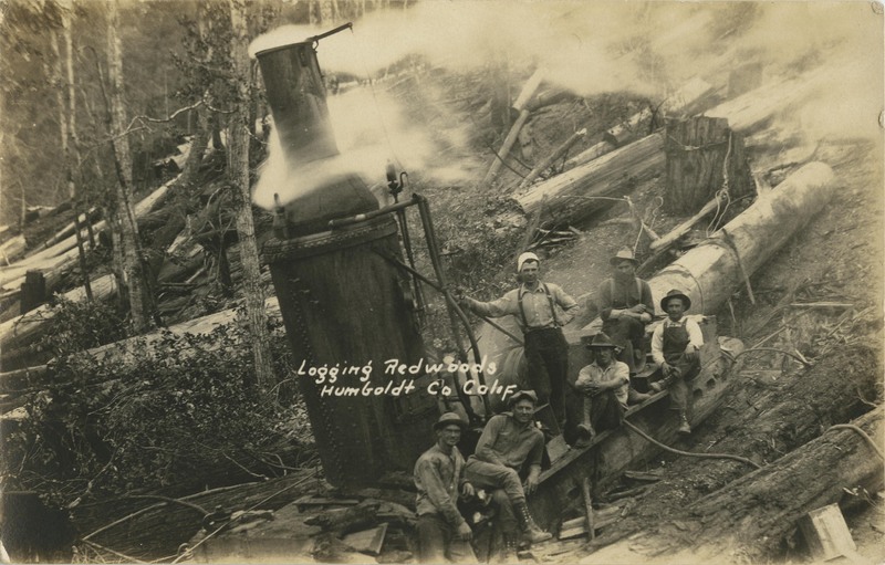 Logging Redwoods - Humboldt Co Calif