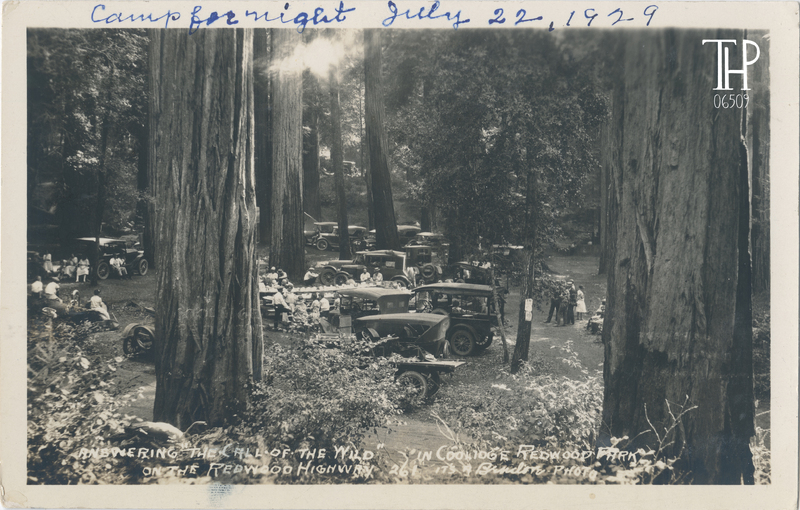 group of autos assembled at Coolidge Redwood Park