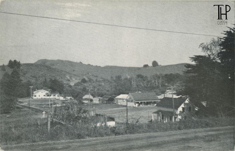 view of downtown Petrolia from Mattole Rd.