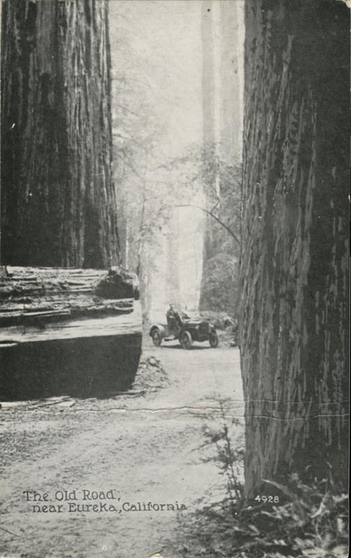 The Old Road, near Eureka, California - 4928