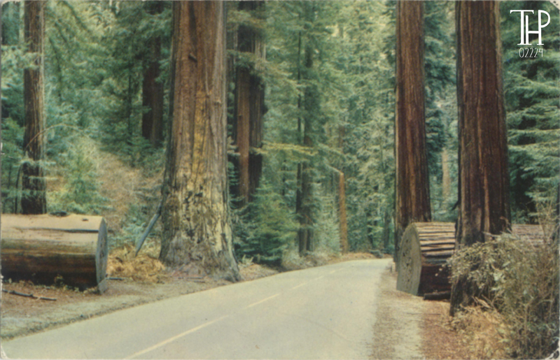 Redwood Highway - Selithco