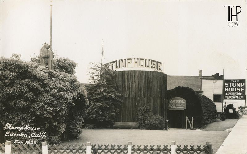 Stump House Eureka, Calif - Zan