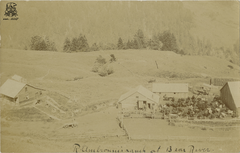 R. Ambrosini's ranch at Bear River