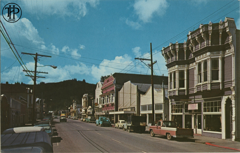 Ferndale, California ''Victorian Village'' · Founded in 1852