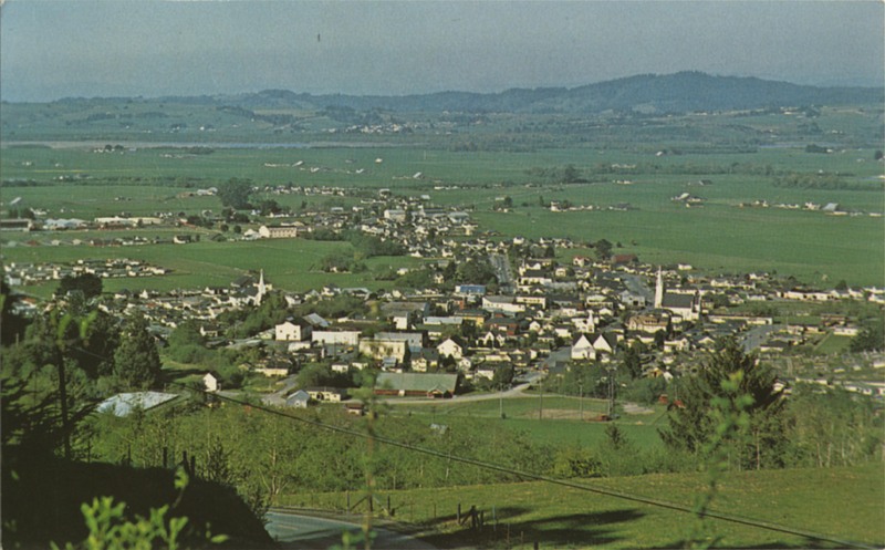 View of Ferndale from above town on Wildcat - Eastman's Studio