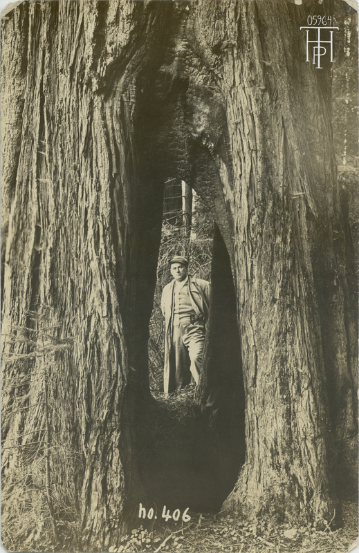 man seen thru Goose Pen tree