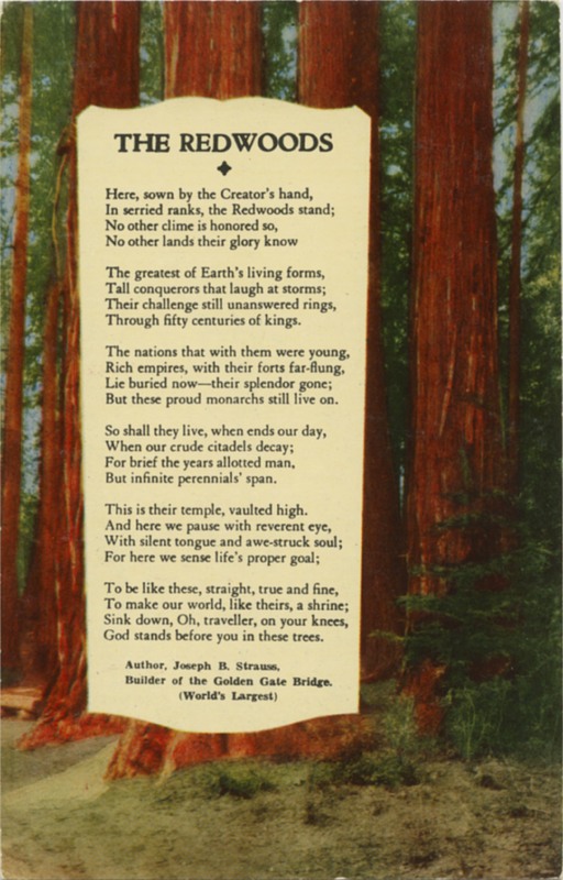 THE REDWOODS Joseph B Strauss Poem - Zan Krome Kard