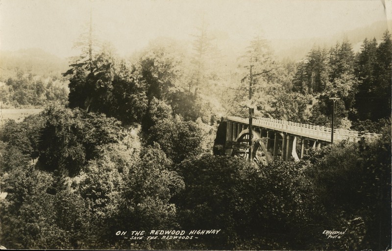 On The Redwood Highway - Save The Redwoods - E R Freeman Photo