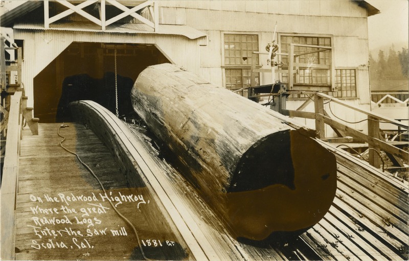 On the Redwood Highway, Where the great Redwood Logs Enter the saw mill Scotia, Cal - Frank Patterson