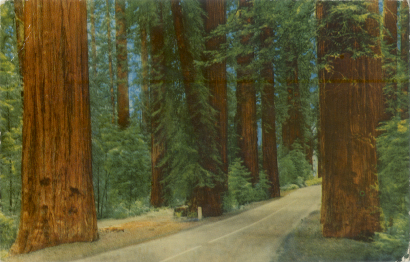 Colorized view of Redwood Highway - Zan's Krome Kard