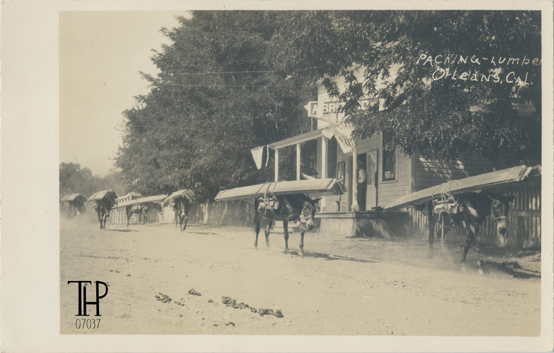 mule train packing lumber passing by Brizard Co. store in Orleans