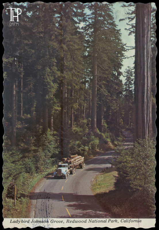 logging truck on Bald Hills Rd near Ladybird Johnson Grove