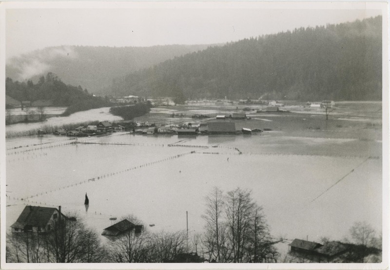 Flooding in Orick - 1955