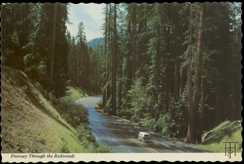 VW bus traveling Redwood Highway