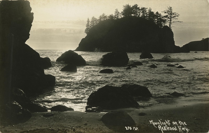 Moonlight on the Redwood Hwy - 876 PAT