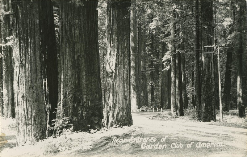 Near Entrance of Garden Club of America