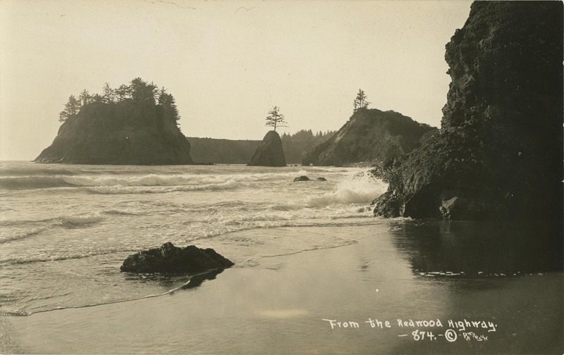From the Redwood Highway - 874 - © Patterson
