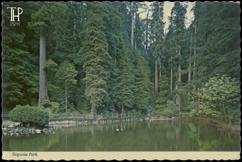 Sequoia Park