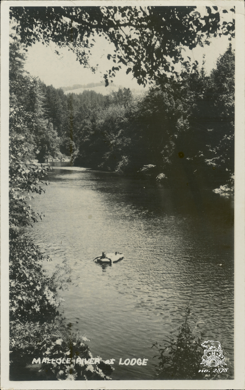 MATTOLE RIVER at LODGE