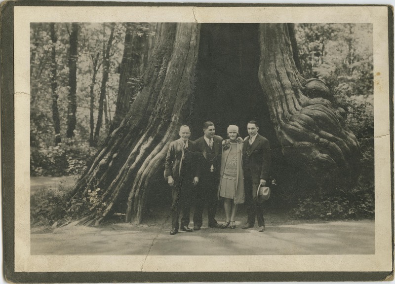 Group photo in front of Sequoia