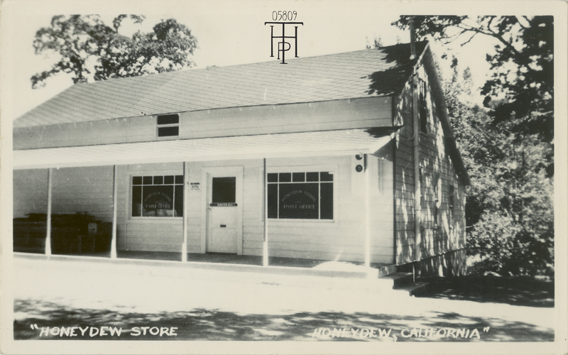 The Honeydew Store
