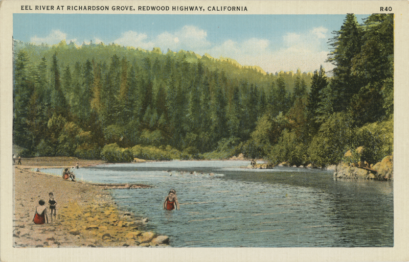 Eel River at Richardson Grove, Redwood Highway, California - Ed Hess R40