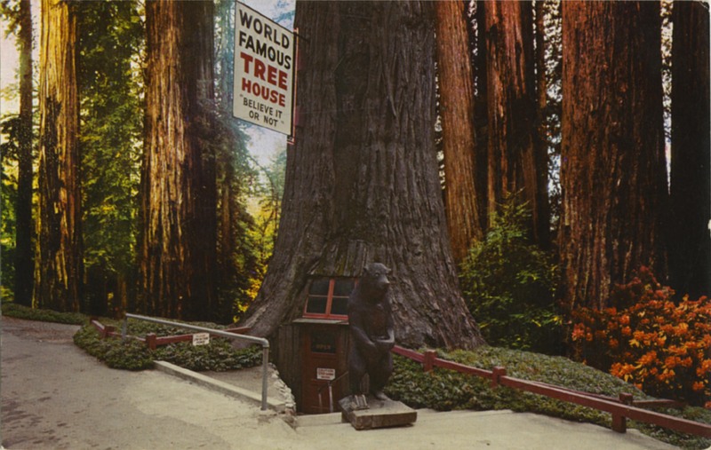WORLD FAMOUS TREE HOUSE - E.F. Clements - Mike Roberts C25848