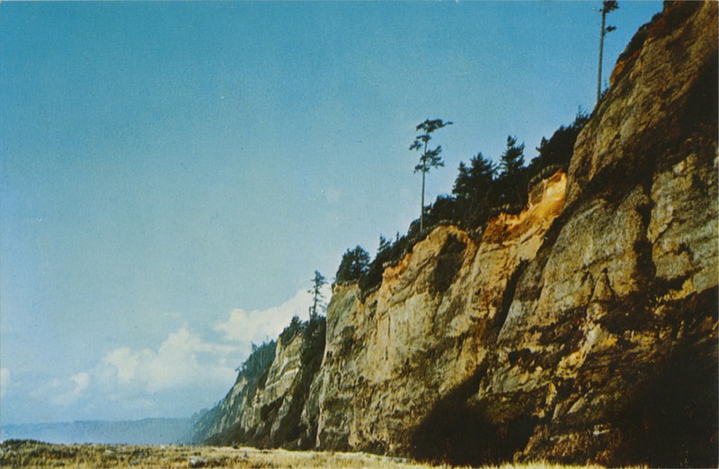 Gold Bluffs Beach in Prairie Creek Redwoods State Park