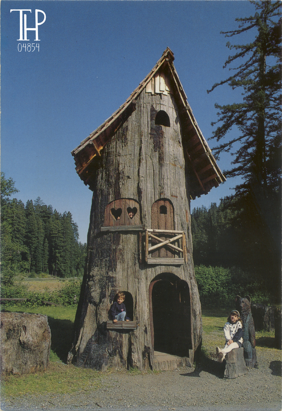 BEAR HOLLOW TREE at Myers Flat