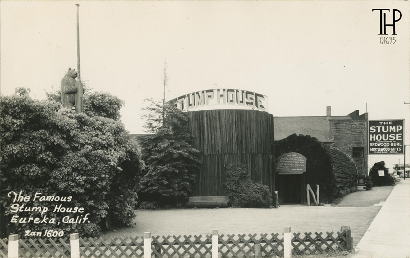 The World Famous Stump House - Zan