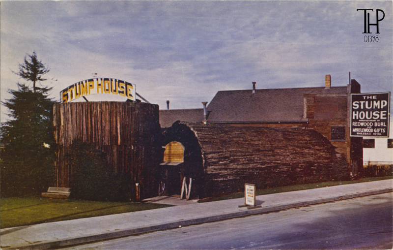 The Famous Stump House, Eureka, California - Mike Roberts
