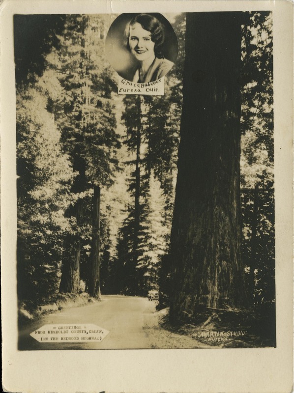 Grace Babcock - Greetings from Humboldt County - Martin Studio