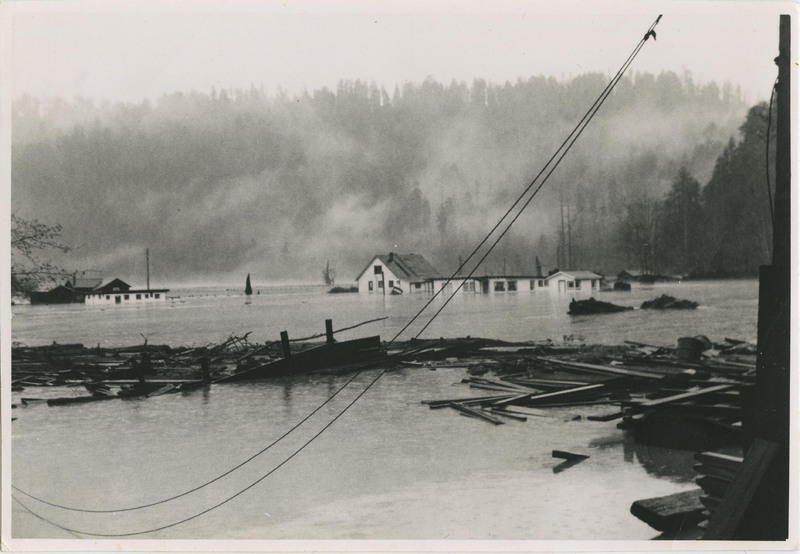 Flooding in Orick - 1955