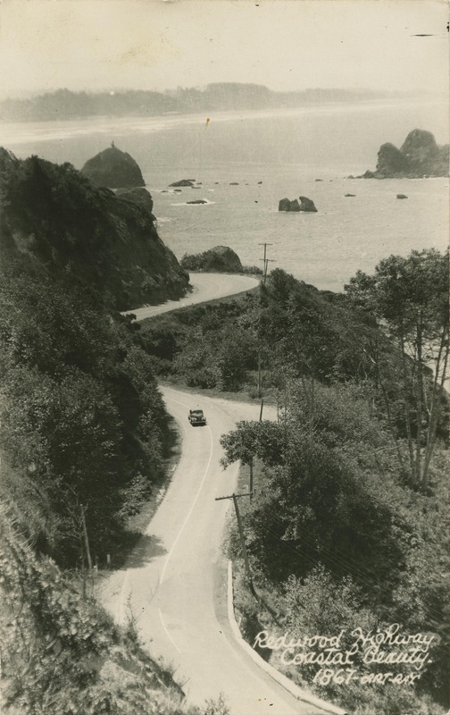 Redwood Highway Coastal Beauty 1867-ART-RAY