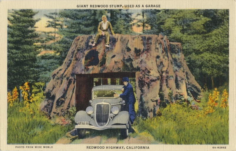 Giant Redwood Stump, used as garage · Photo from Wide World - Redwood Highway, California - 6A-H2862