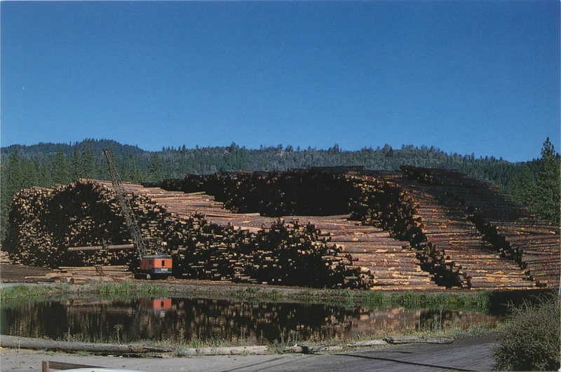 Log Deck near Weaverville - EASTMAN'S POSTCARDS-WEST - MT