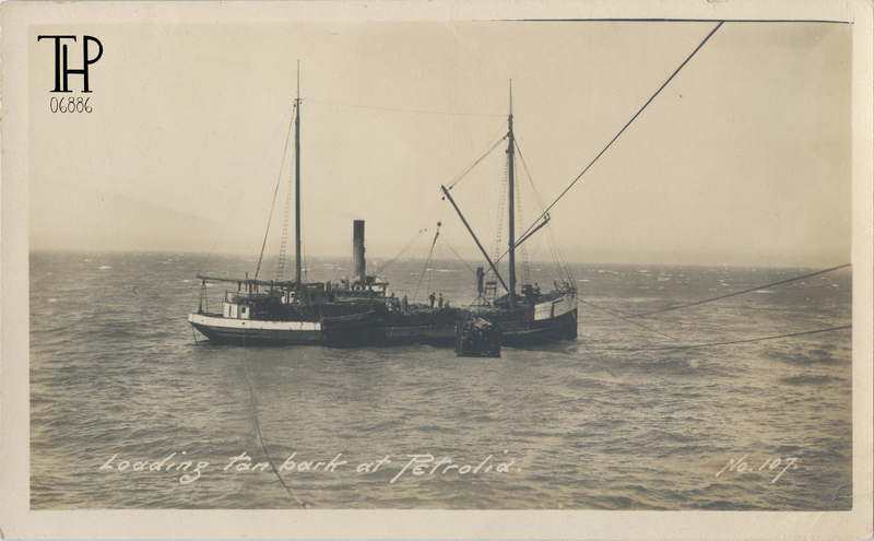 Loading tanbark at Mattole Wharf Petrolia