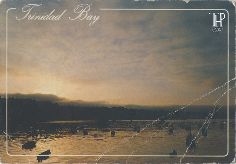 Trinidad Bay at sunrise