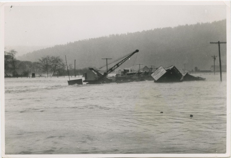 Flooding in Orick - 1955