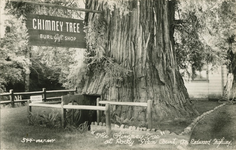 'The Chimey Tree'' at Rocky Glen Court, On Redwood Highway 544-ART-RAY
