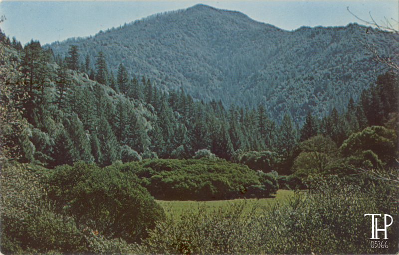 Northern California Coast Range Preserve near Branscomb  - Nature Conservancy