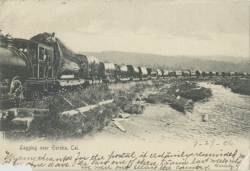 Log Train Near Freshwater