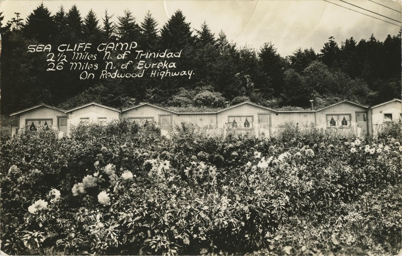 SEA CLIFF CAMP 2½ Miles N. of Trinidad 26 Miles N of Eureka - Art-Ray