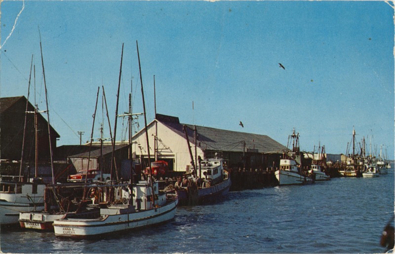 LAZIO'S SEAFOOD RESTAURANT - H S Crocker Co