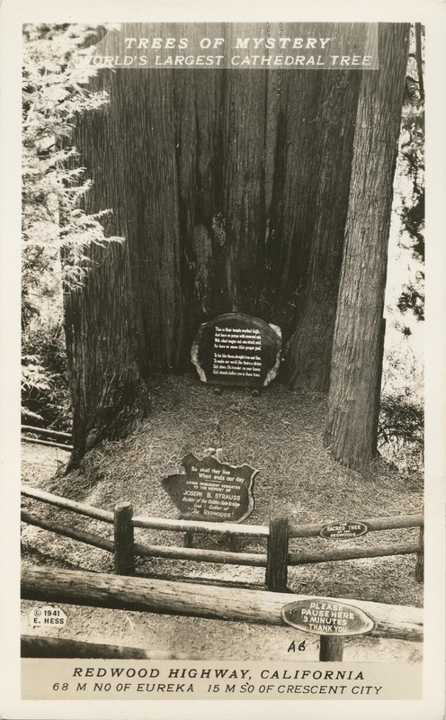 Trees of Mystery - World's Largest Cathedral Tree · Redwood Highway, California - 68 M No of Eureka - 15 M So of Crescent City © 1941 E. Hess