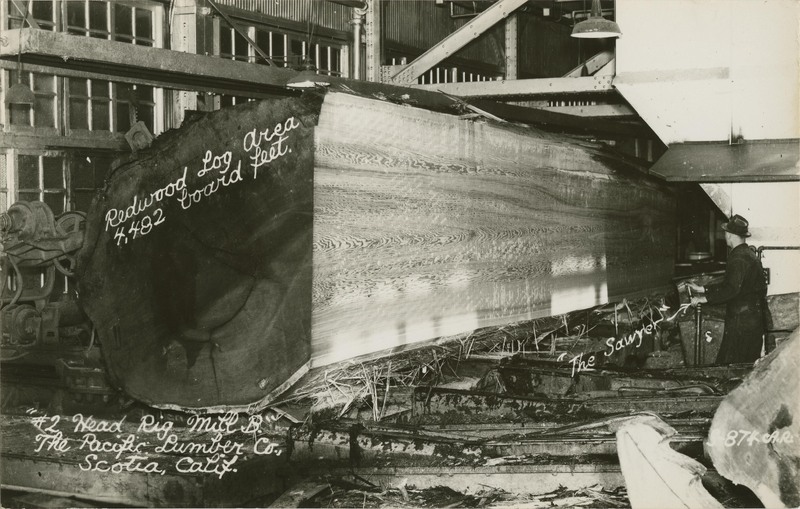 Redwood Log Area 4,482 board feet. '#2 Head Rig Mill B.' The Pacific Lumber Co., Scotia, Calif - Art-Ray