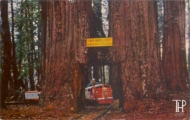 Twin Drive-Thru Trees - Confusion Hill Tourist Train