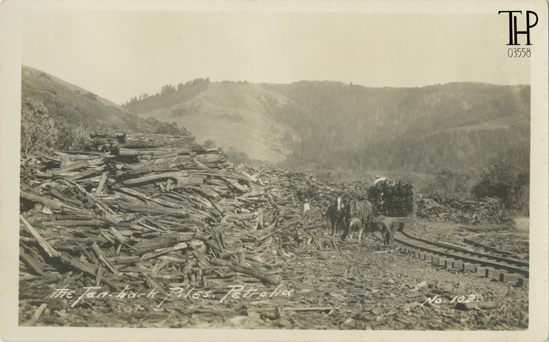 The Tan Bark Piles - coast near Mattole wharf / mouth